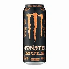 Monster mule ginger 0,5L $C