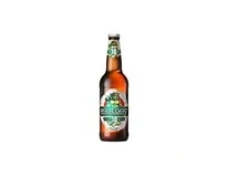 Radegast rázná 10 světlý 0,5L sklo