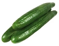 Okurka hadovka (cca 300 g)